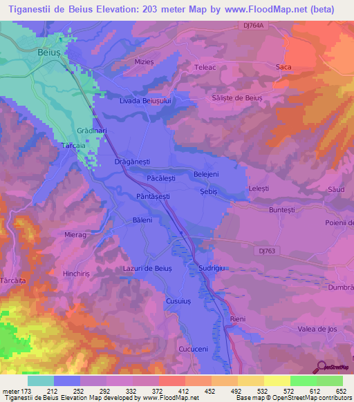 Tiganestii de Beius,Romania Elevation Map