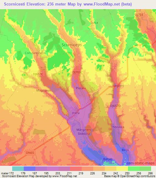 Scornicesti,Romania Elevation Map