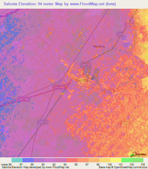 Salonta,Romania Elevation Map