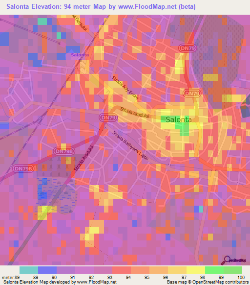 Salonta,Romania Elevation Map