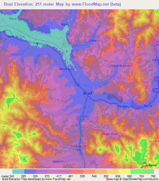 Brad,Romania Elevation Map