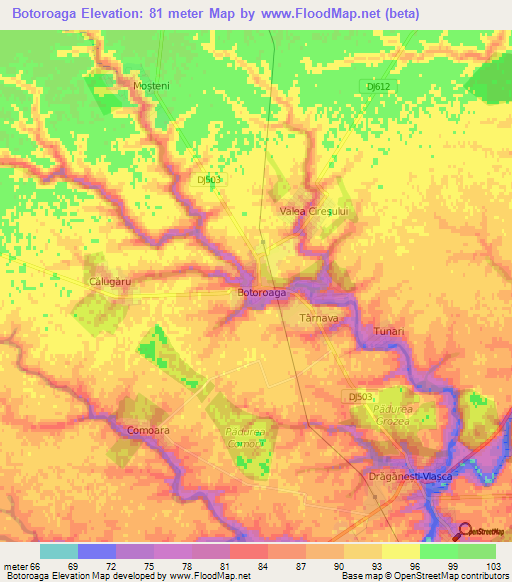 Botoroaga,Romania Elevation Map