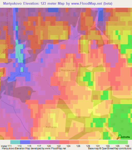 Martyukovo,Russia Elevation Map