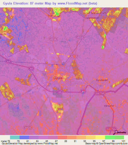 Gyula,Hungary Elevation Map