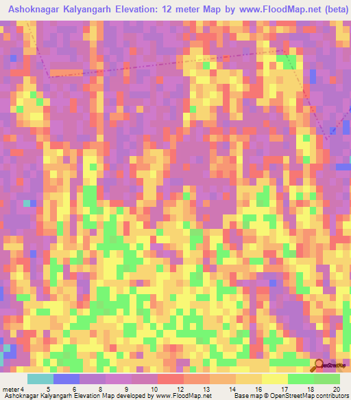 Ashoknagar Kalyangarh,India Elevation Map