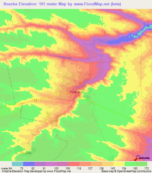 Knezha,Bulgaria Elevation Map