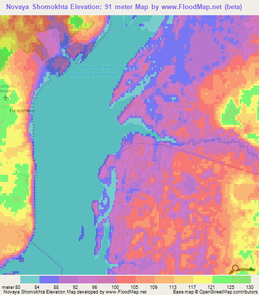 Novaya Shomokhta,Russia Elevation Map