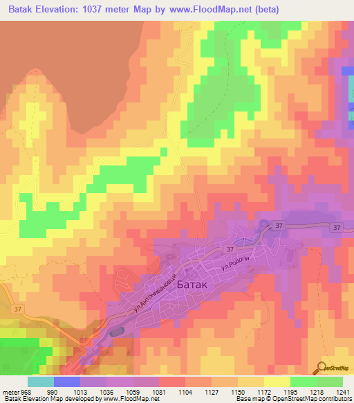 Batak,Bulgaria Elevation Map