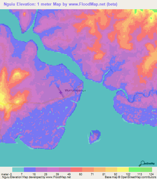 Nguiu,Australia Elevation Map