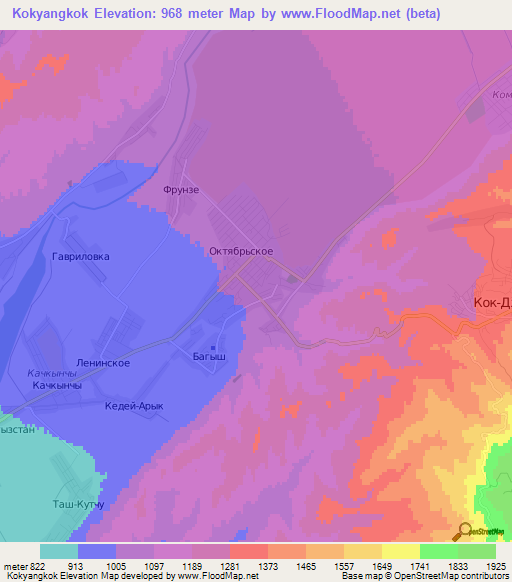 Kokyangkok,Kyrgyzstan Elevation Map