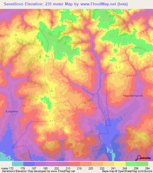 Senetilovo,Russia Elevation Map