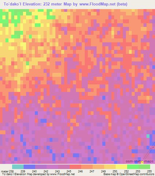 To`dako`l,Uzbekistan Elevation Map