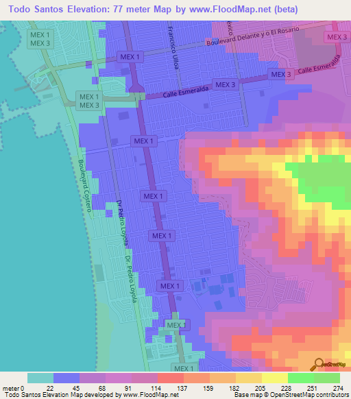 Todo Santos,Mexico Elevation Map