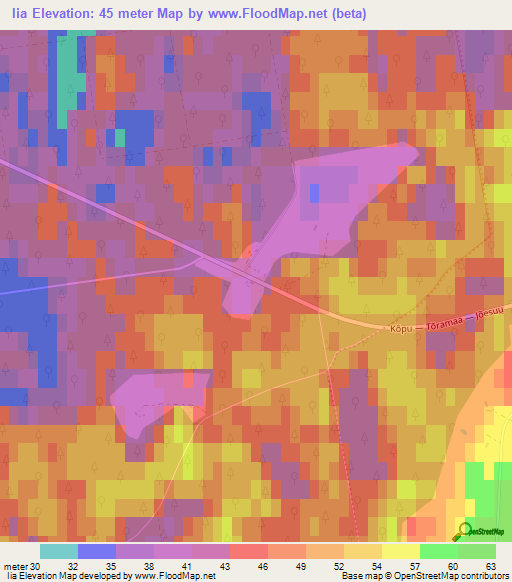 Iia,Estonia Elevation Map