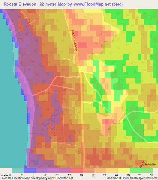 Roosta,Estonia Elevation Map