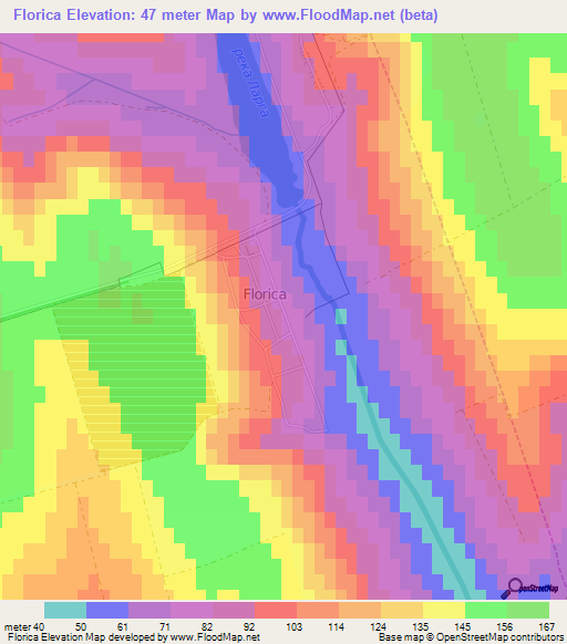 Florica,Moldova Elevation Map