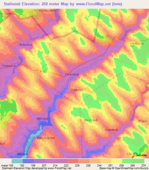 Stalinesti,Moldova Elevation Map