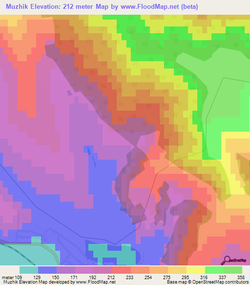 Muzhik,Moldova Elevation Map