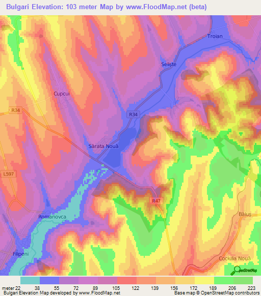 Bulgari,Moldova Elevation Map