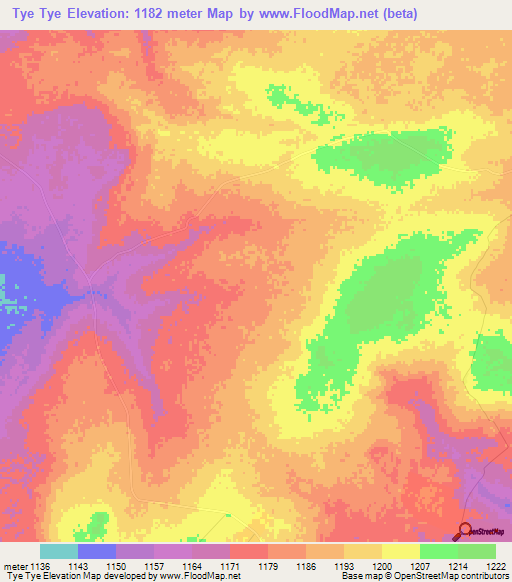 Tye Tye,Zambia Elevation Map