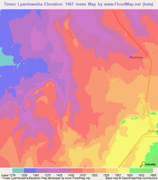 Timeo Lyambwesha,Zambia Elevation Map