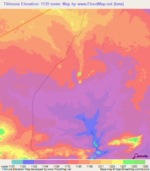 Tilimuna,Zambia Elevation Map