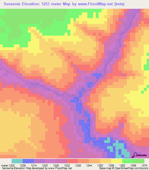 Sensenta,Zambia Elevation Map