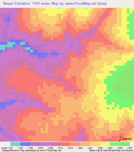 Nsepe,Zambia Elevation Map