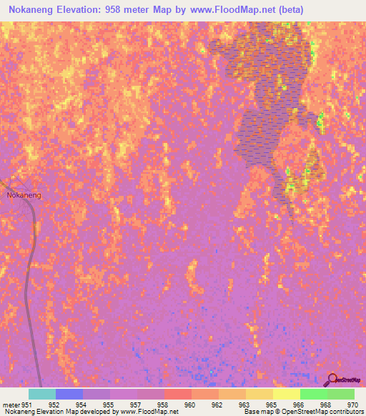 Nokaneng,Botswana Elevation Map