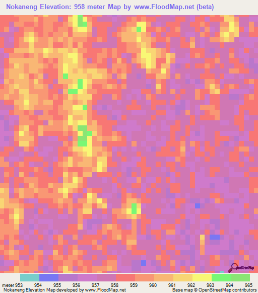 Nokaneng,Botswana Elevation Map