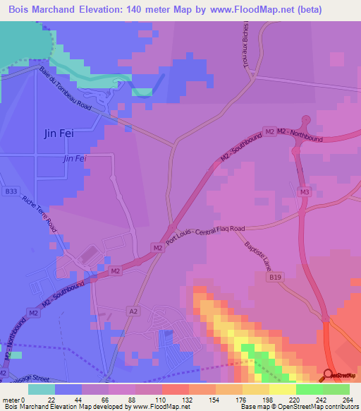 Bois Marchand,Mauritius Elevation Map