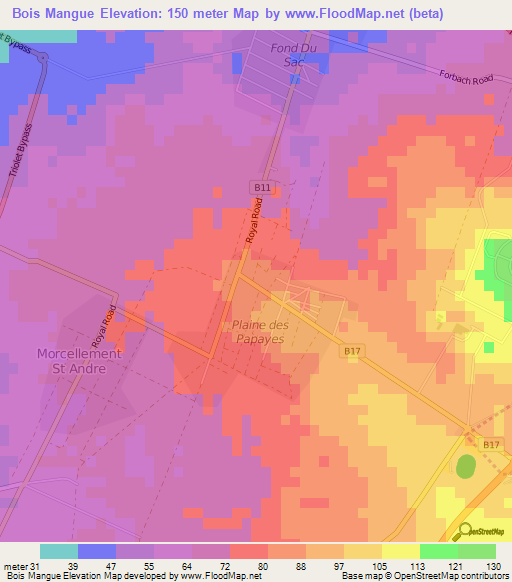 Bois Mangue,Mauritius Elevation Map