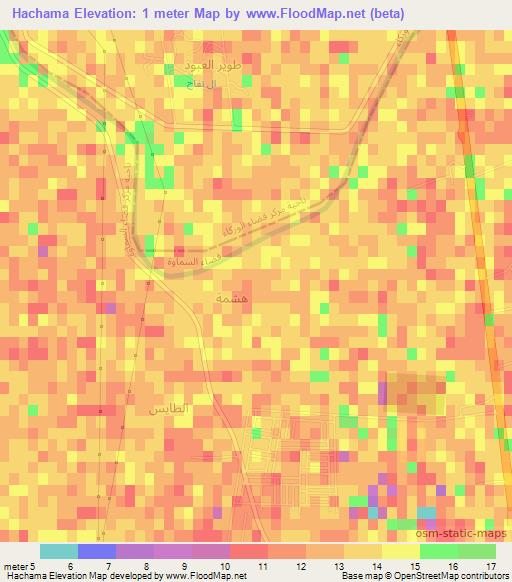 Hachama,Iraq Elevation Map