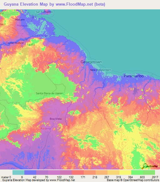 Guyana Elevation Map