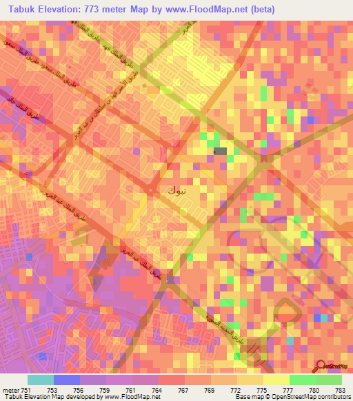 Tabuk,Saudi Arabia Elevation Map