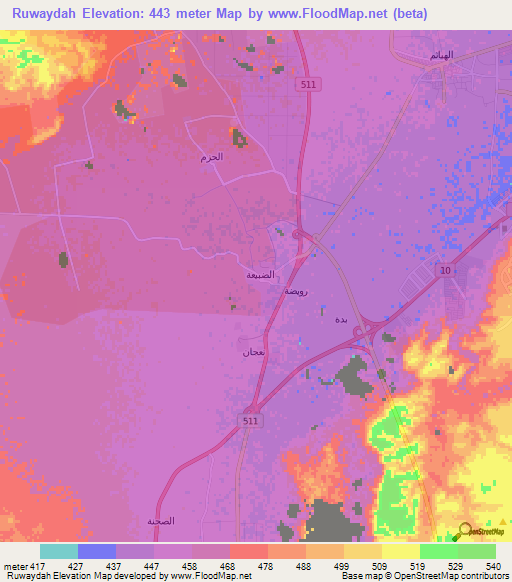 Ruwaydah,Saudi Arabia Elevation Map