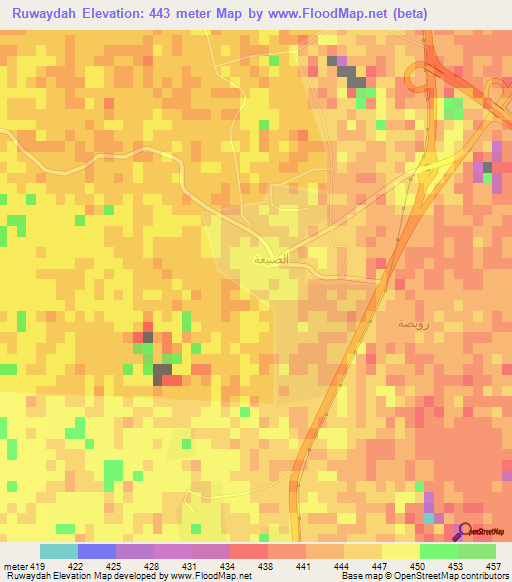 Ruwaydah,Saudi Arabia Elevation Map