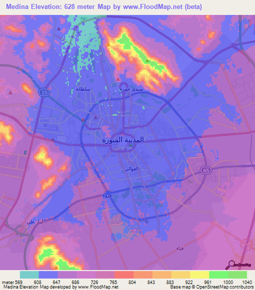 Medina,Saudi Arabia Elevation Map