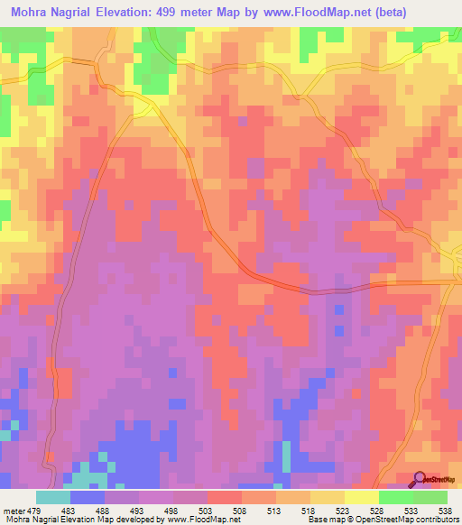 Mohra Nagrial,Pakistan Elevation Map