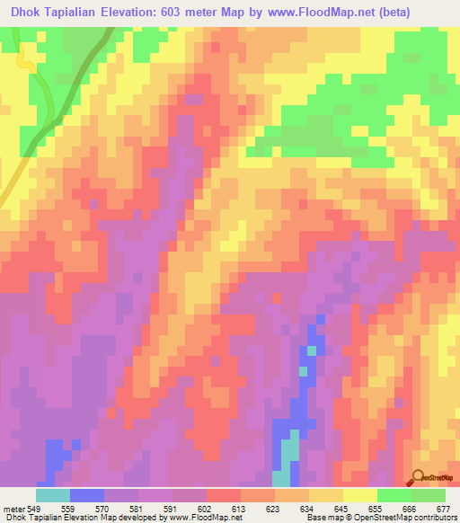 Dhok Tapialian,Pakistan Elevation Map