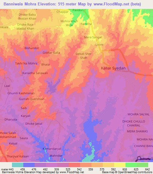 Banniwala Mohra,Pakistan Elevation Map