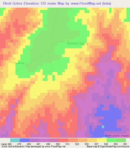 Dhok Gohra,Pakistan Elevation Map