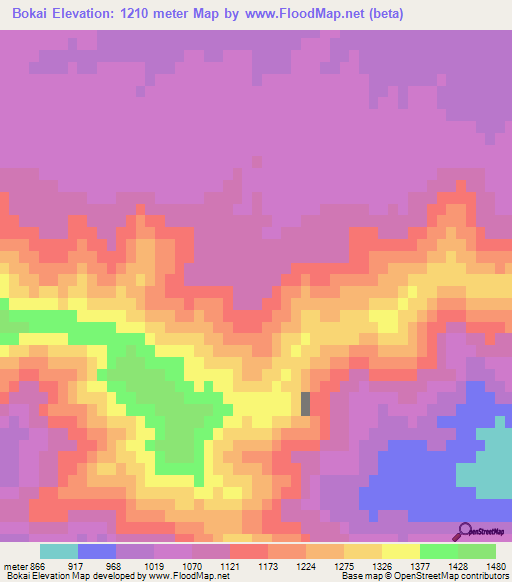 Bokai,Pakistan Elevation Map