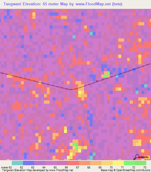 Tangwani,Pakistan Elevation Map