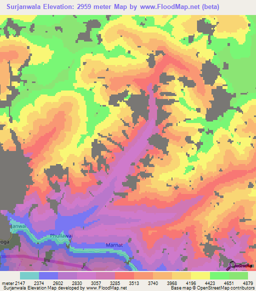 Surjanwala,Pakistan Elevation Map