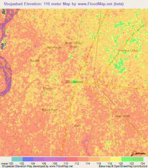 Shujaabad,Pakistan Elevation Map