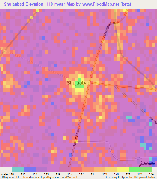 Shujaabad,Pakistan Elevation Map