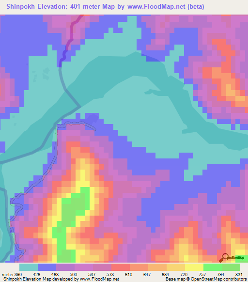 Shinpokh,Pakistan Elevation Map