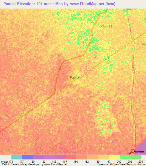 Pattoki,Pakistan Elevation Map