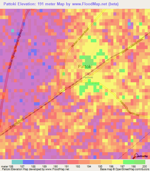 Pattoki,Pakistan Elevation Map